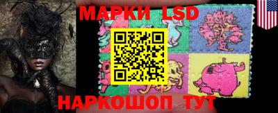 PSILOCYBIN Обнинск